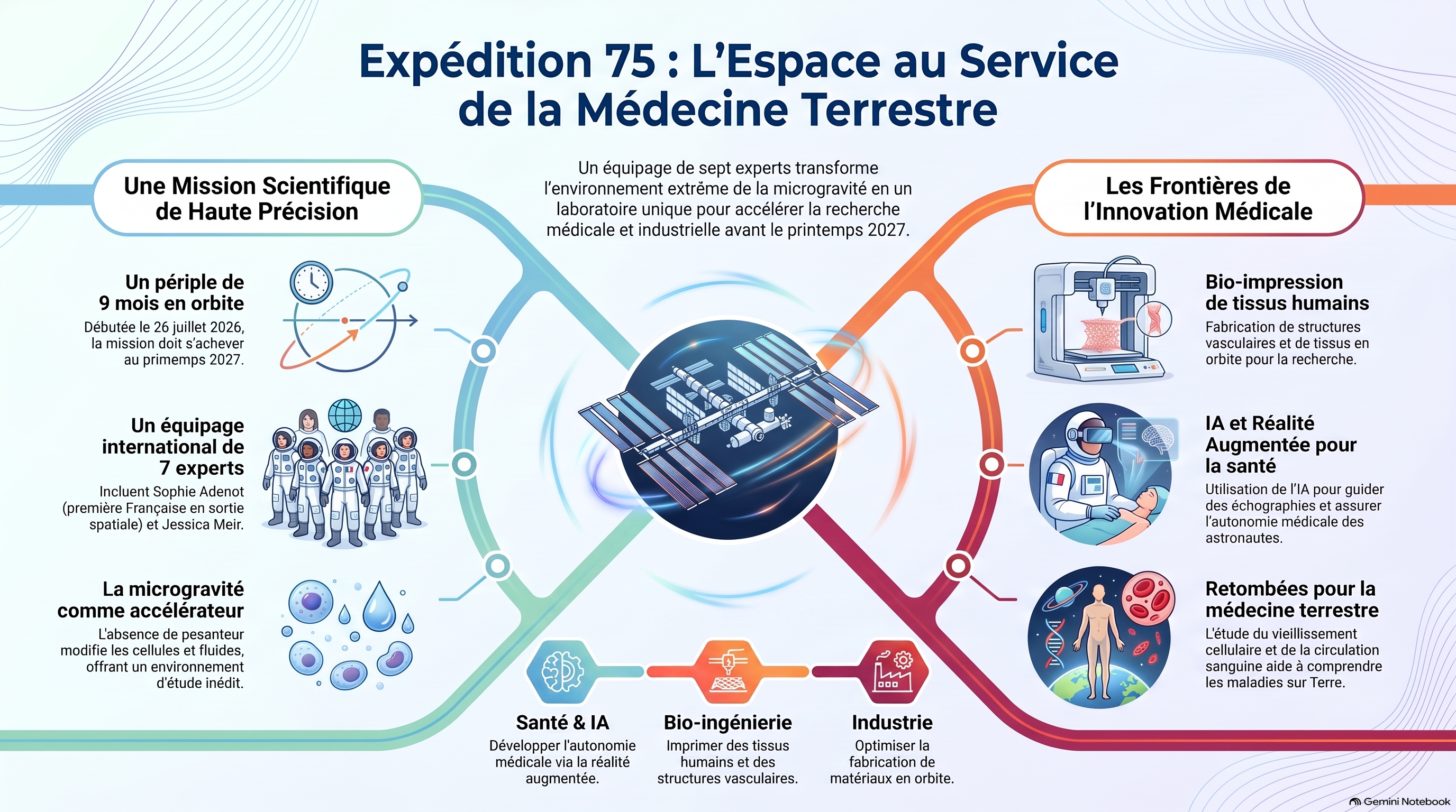 Infographie